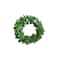 Hello Honey® Preserved Genuine Boxwood Wreath